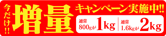 今だけ!!増量キャンペーン開催中!!通常800gが1kg、通常1.6kgが2kg